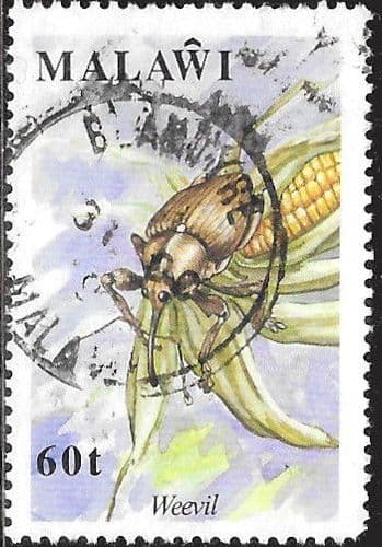 Malawi 1991 Insects SG 869 Fine Used