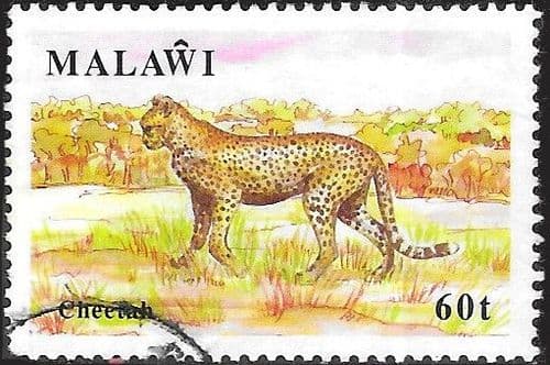 Malawi 1991 Wildlife SG 859 Fine Used