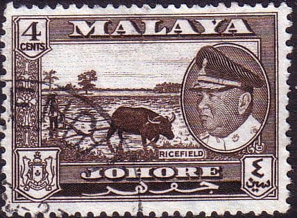 Malay State of Johore 1960 Sultan Ismail SG 157 Ricefields Fine Used
