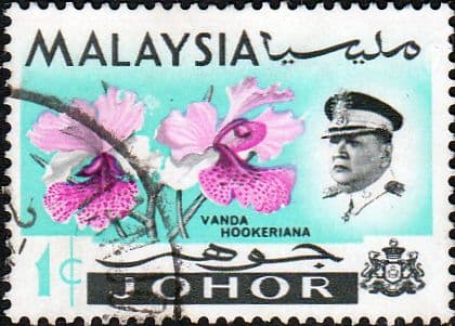 Malay State of Johore 1965 Flowers SG 166 Fine Used