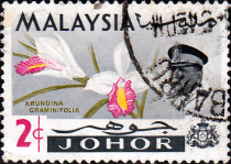 Malay State of Johore 1965 Flowers SG 167 Fine Used