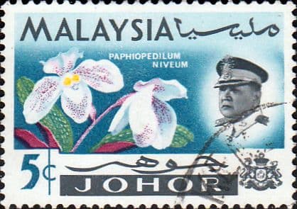 Malay State of Johore 1965 Flowers SG 168 Fine Used