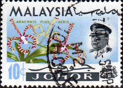 Malay State of Johore 1965 Flowers SG 170 Fine Used