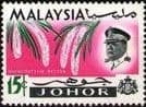 Malay State of Johore 1965 Flowers SG 171 Fine Mint