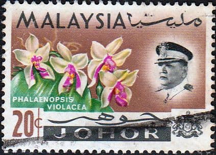 Malay State of Johore 1965 Flowers SG 172 Fine Used