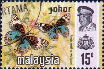 Malay State of Johore 1971 Butterflies SG 180 Fine Used
