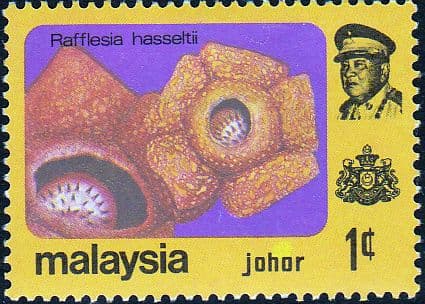 Malay State of Johore 1979 Flowers SG 188 Fine Used