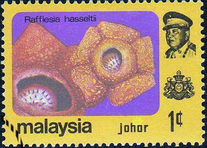 Malay State of Johore 1979 Flowers SG 188 Fine Used