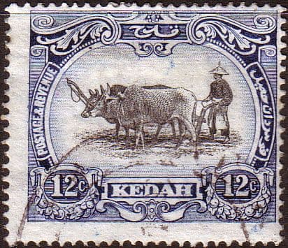 Malay State of Kedah 1926 SG 58 Bullocks and Plough Fine Used