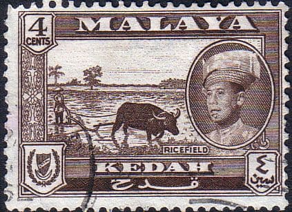 Malay State of Kedah 1959 SG 106 Rice Field Fine Used