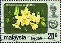 Malay State of Kedah 1979 Flowers SG 140 Fine Used