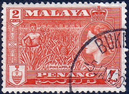 Malay State of Penang 1957 SG 45 Queen Elizabeth and Pineapples Fine Used