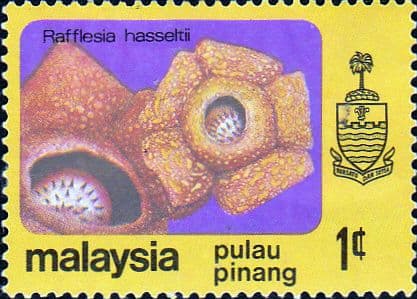 Malay State of Penang 1979 Flowers SG 86 Fine Used