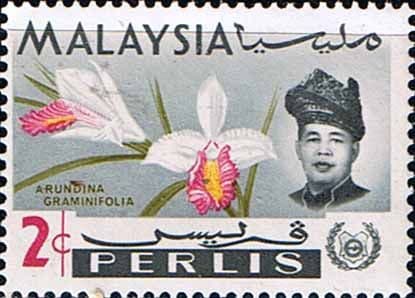Malay State of Perlis 1965 Flowers Orchids SG42 Fine Mint