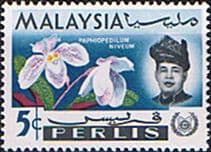 Malay State of Perlis 1965 Flowers Orchids SG43 Fine Mint