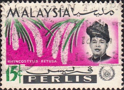 Malay State of Perlis 1965 Flowers Orchids SG46 Fine Used