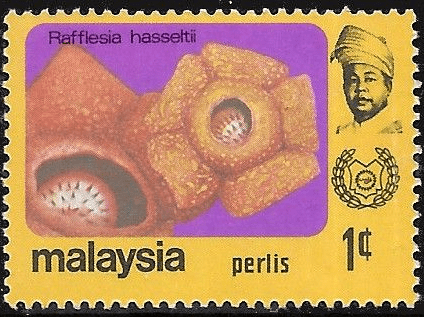 Malay State of Perlis 1979 Flowers SG 59 Fine Mint