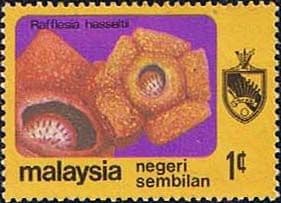 Malaya Negri Sembilan 1979 Orchids SG 103 Fine Mint