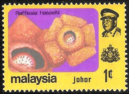 Malaya State of Johore 1979 Flowers SG 188 Fine Mint
