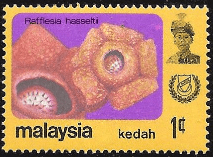 Malaya State of Kedah 1979 Flowers SG 135 Fine Mint
