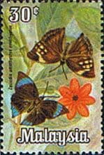 Malaysia 1970 Butterflies SG 65 Fine Mint