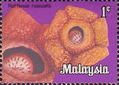 Malaysia 1979 Flowers SG K1 Fine Mint