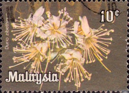 Malaysia 1979 Flowers SG K4 Fine Used
