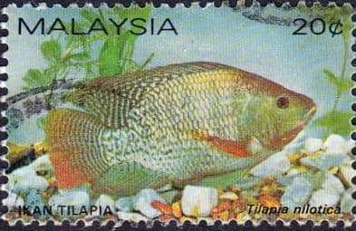 Malaysia 1983 Freshwater Fishes SG 260 Fine Used