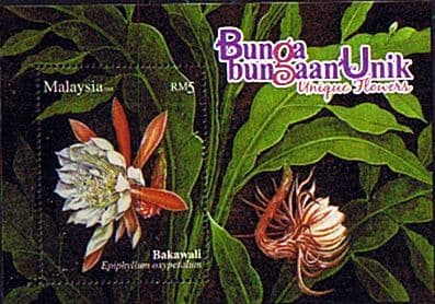 Malaysia 2008 Unique Flowers Miniature Sheet Fine Mint