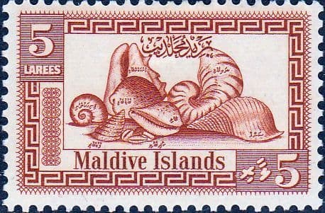 Maldive Islands 1960 Cowrie Shells SG 53 Fine Mint