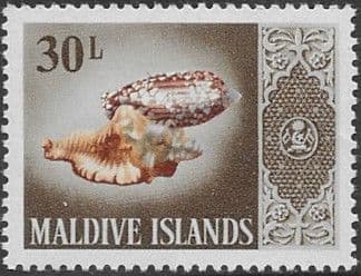 Maldive Islands 1966 Shells SG181 Fine Mint