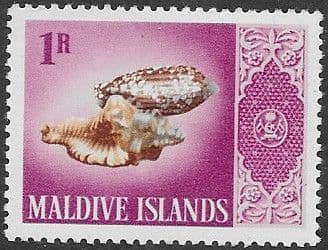 Maldive Islands 1966 Shells SG183 Fine Mint