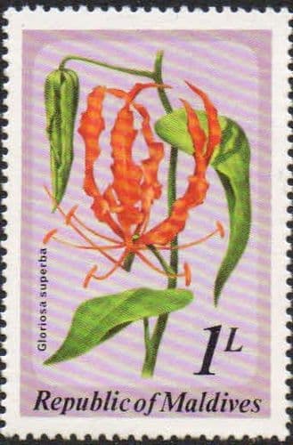 Maldive Islands 1979 Flowers SG 827 Fine Mint