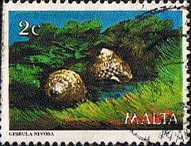 Malta 1979 Marine Life SG 630 Fine Used