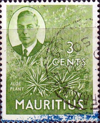 Mauritius 1950 SG 278 Aloe Plant Fine Used