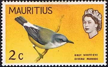 Mauritius 1965 SG 317 Grey White-Eye Bird Fine Mint