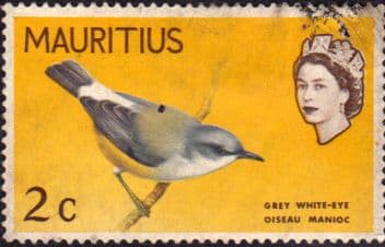Mauritius 1965 SG 317 Grey White-Eye Bird Fine Used