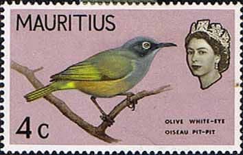 Mauritius 1965 SG 319 Olive White-Eye Bird Fine Mint