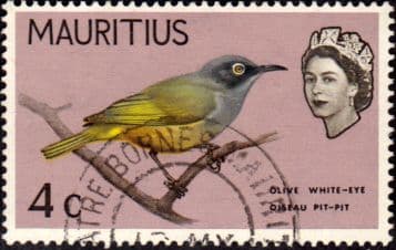 Mauritius 1965 SG 319 Olive White-Eye Bird Fine Used