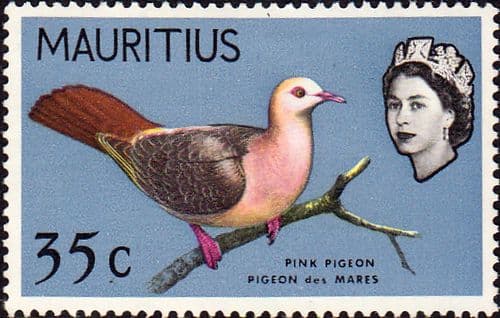 Mauritius 1965 SG 325 Pink Pigeon Bird Fine Mint