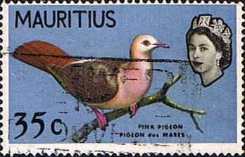 Mauritius 1965 SG 325 Pink Pigeon Bird Fine Used