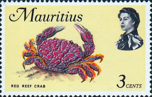 Mauritius 1969 Marine Life SG 383 Fine Mint