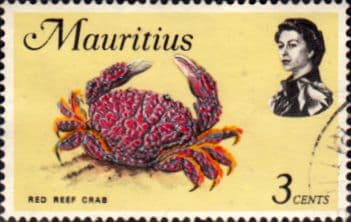 Mauritius 1969 Marine Life SG 383 Fine Used