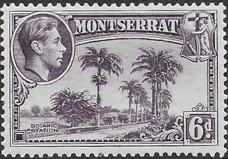 Montserrat 1938 King George VI SG 107 Botanic Station Fine Mint