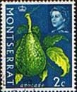 Montserrat 1965 Queen Elizabeth II SG 161 Avacado Fruit Fine Used