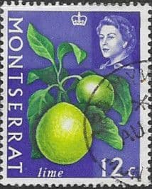 Montserrat 1965 Queen Elizabeth II SG 168 Lime Fruit Fine Used