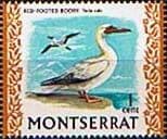 Montserrat 1970 Birds SG 242 Red Footed Booby Fine Mint
