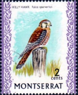 Montserrat 1970 Birds SG 243 American Kesteral Fine Used