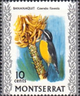 Montserrat 1970 Birds SG 247 Bananaquitt Fine Mint