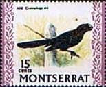 Montserrat 1970 Birds SG 248 Smooth billed Ani Fine Mint